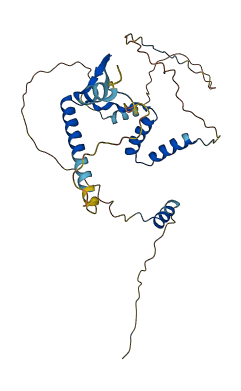 C1orf131 3D structure