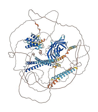 EHBP1 3D structure