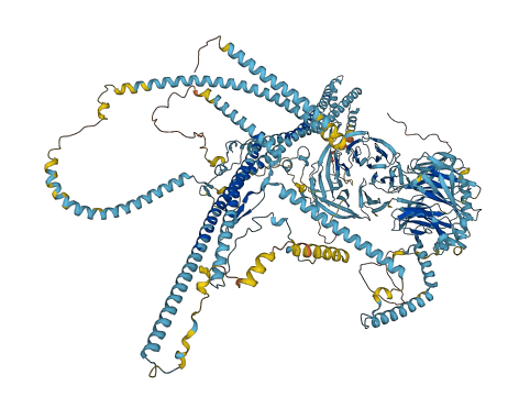 CFAP43 3D structure
