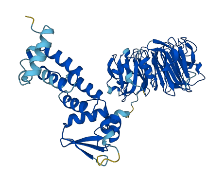 RCBTB1 3D structure