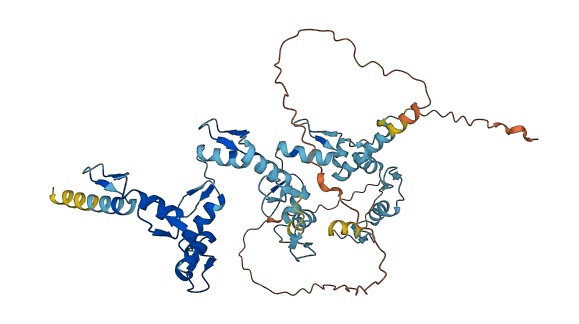 ZNF439 3D structure