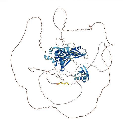 RBM15B 3D structure
