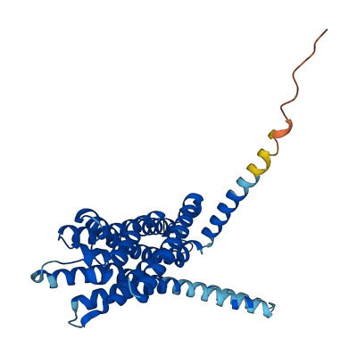 GPR26 3D structure