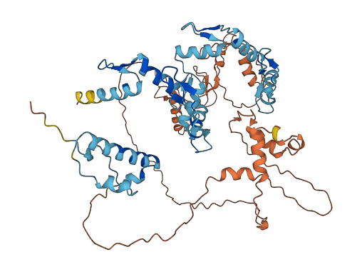 ZNF248 3D structure