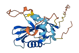 LY6G5B 3D structure