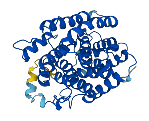 ADPRHL1 3D structure