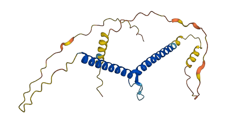 BHLHE23 3D structure