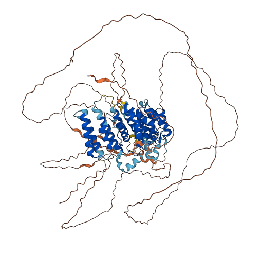 SIMC1 3D structure