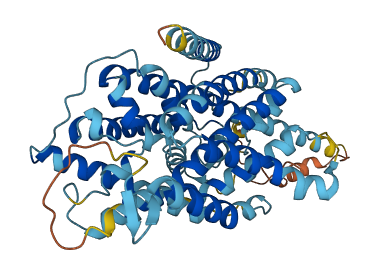 TMEM104 3D structure