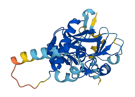 SETD9 3D structure
