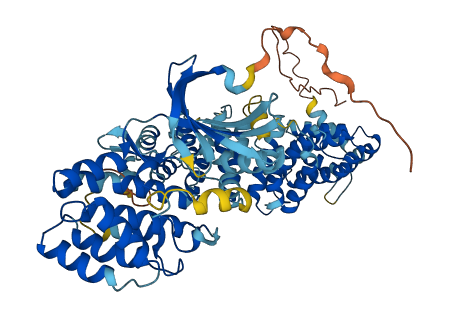 STKLD1 3D structure