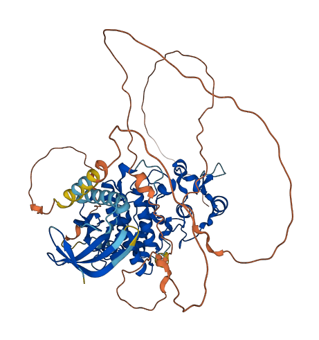 HIPK4 3D structure