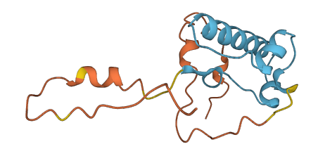 ZNF738 3D structure
