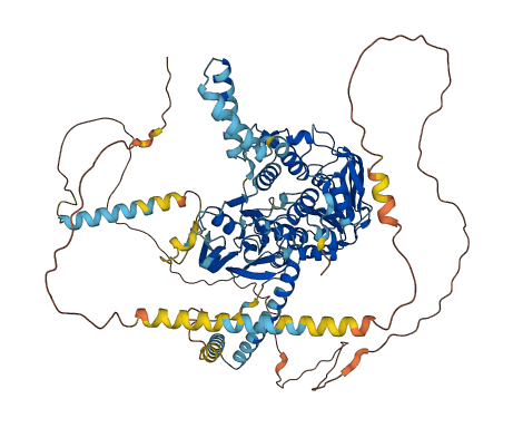 ABCF1 3D structure
