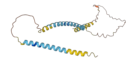 C19orf18 3D structure