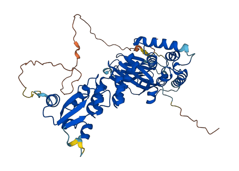 GMCL2 3D structure