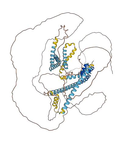 CATSPER1 3D structure