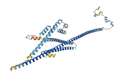 CCDC112 3D structure