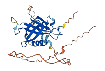 FAM71C 3D structure