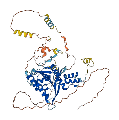 FAM83F 3D structure