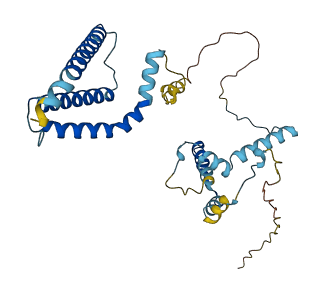 NGDN 3D structure