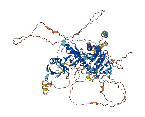 DDHD1 3D structure
