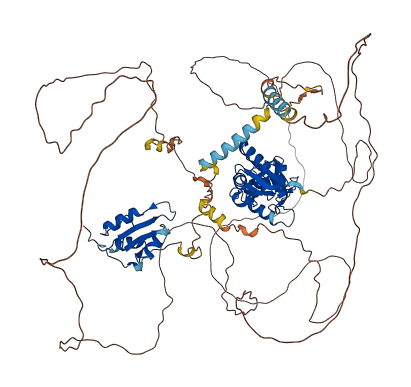 MCPH1 3D structure