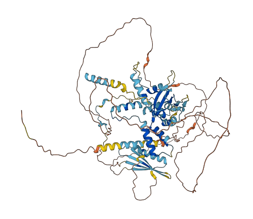 SUPT20H 3D structure
