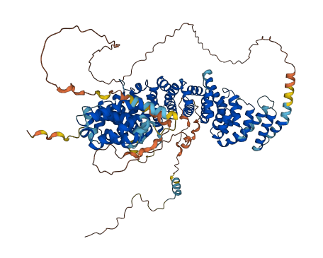 ARMC2 3D structure