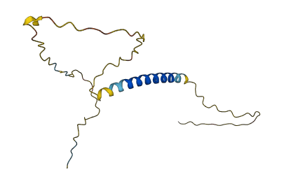 C1orf162 3D structure