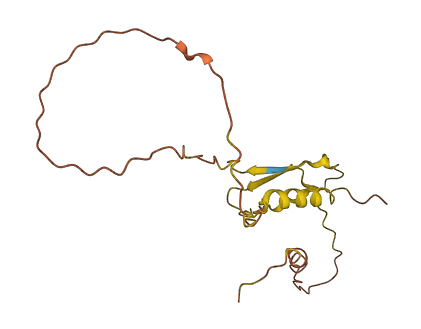 SRARP 3D structure