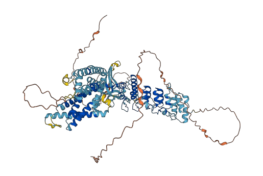 TRPV1 3D structure