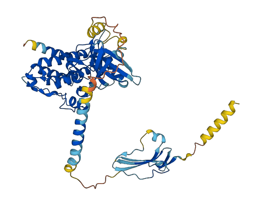 ACVR1C 3D structure