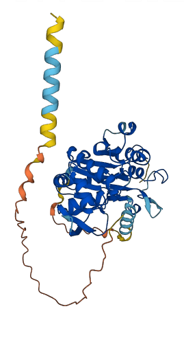 LFNG 3D structure