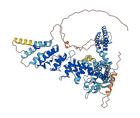 TRPV3 3D structure