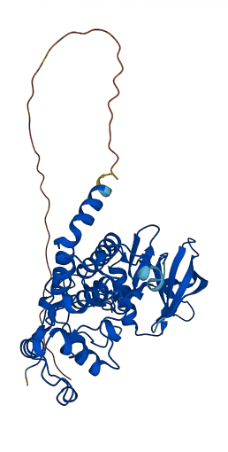 CSNK2A3 3D structure