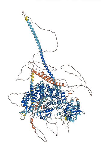 MYO3A 3D structure