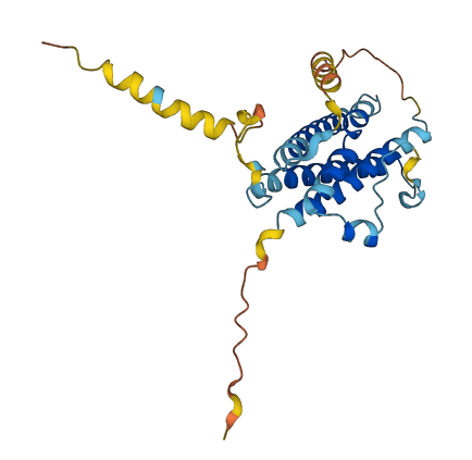 IL27 3D structure