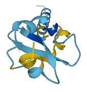 WFDC9 3D structure