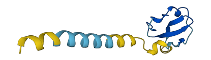 WFDC11 3D structure