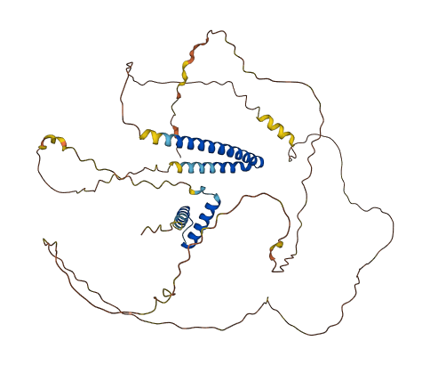 PPHLN1 3D structure