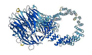 WDR19 3D structure