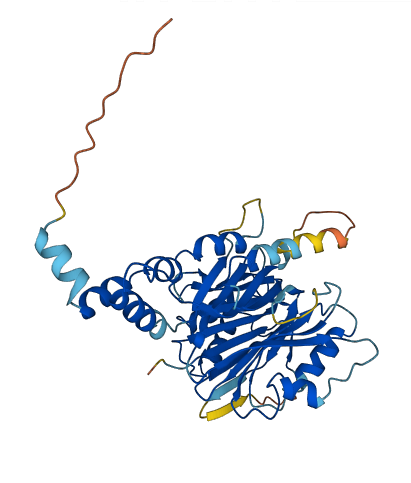 FBXO22 3D structure