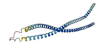 ANKRD20A12P 3D structure