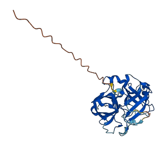 PRSS33 3D structure