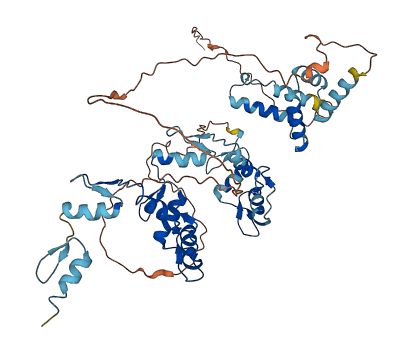 ZNF397 3D structure