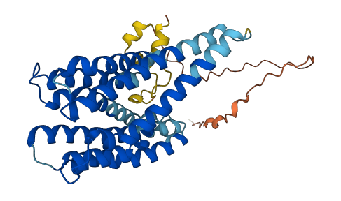 TMEM185A 3D structure