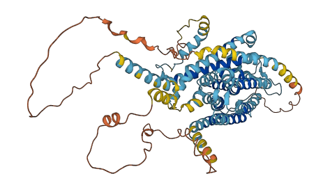 SLC24A4 3D structure