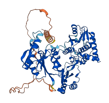 FLAD1 3D structure