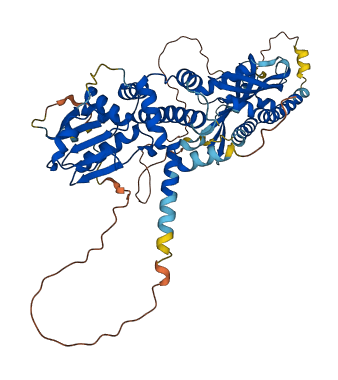 FLCN 3D structure